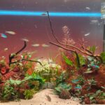 Fish Tank Background lightscreen, RGB Model with app control