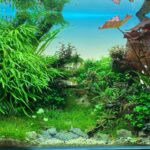 Fish Tank Background lightscreen, Competition Model