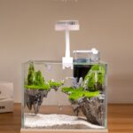 Fish tank set with hang on back filter and light
